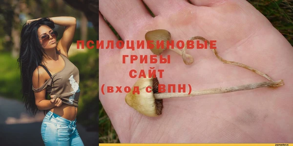 спиды Тайга