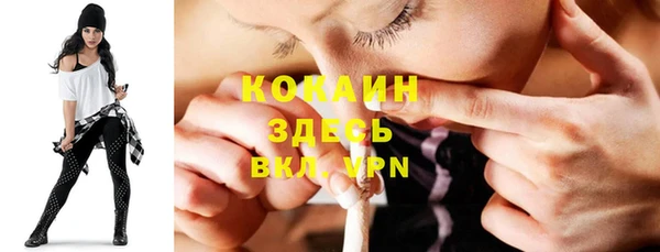 apvp Чекалин