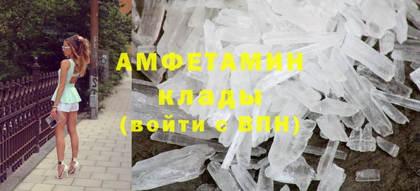 спиды Тайга