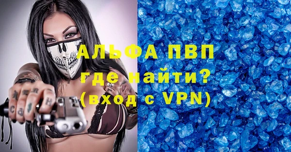 спиды Тайга