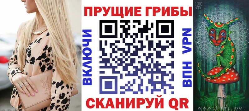 Галлюциногенные грибы GOLDEN TEACHER  ОМГ ОМГ tor  Сочи 