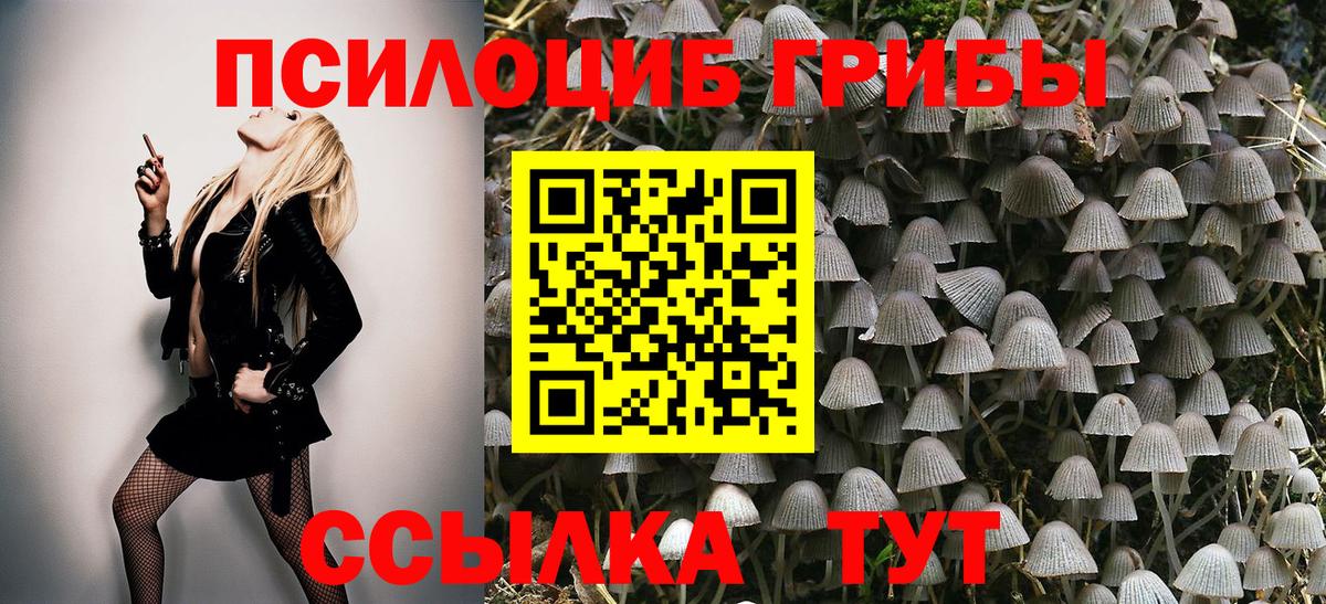 Галлюциногенные грибы Psilocybe Сочи