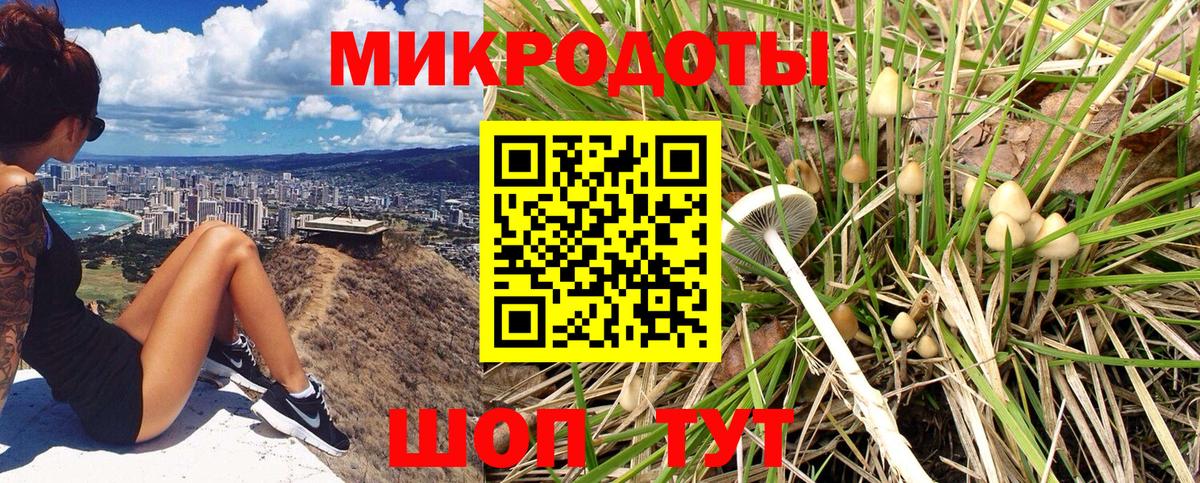 Псилоцибиновые грибы мицелий  Вход с VPN  Сочи  Галлюциногенные грибы мухоморы 